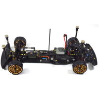 MAGNETIC BODY MOUNT SYSTEM, BLACK (SINGLE POST)