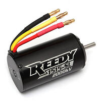RIVAL REEDY 2000KV BRUSHLESS MOTOR