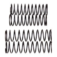 Rival Mt10 Shock Spring Set