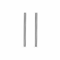 Rc10 ''91 Stealth Car Rear Inner Hinge Pins