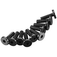 Axial Hex Socket Oversize Head Screw, 3X10Mm, 10 Pieces, Axa0109
