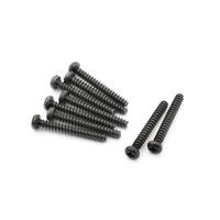 BLACKZON WARRIOR BUTTON HEAD SCREW 2.6X20MM [534754]