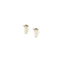 DUALSKY SMALL SERVO MOUNTING SCREWS, 2PCS