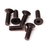 FLAT HEAD SCREWS M3X10MM (6PCS)