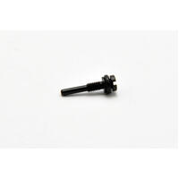 THROTTLE ADJUSTABLE SCREW H21