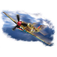 HOBBYBOSS 1/72 P-40M "KITTY HAWK" PLASTIC MODEL KIT [80251]