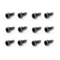 HAIBOXING S165 CAP HEAD SCREWS 2*6MM (12P)