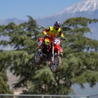 LOSI PROMOTO-MX 1/4 MOTORCYCLE RTR, FXR SCHEME