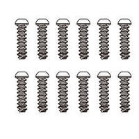 Mjx Screws(12Pcs)