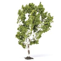 HORNBY BIRCH TREE - 69-R7215