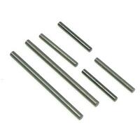 Hinge Pin Set On Road 1/10 (Ftx-6595)