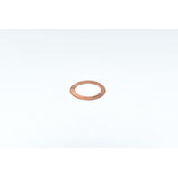 BURN ROOM WASHER .2MM