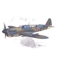 SPECIAL HOBBY 1/48 FAIREY FIREFLY MK.I "HOME FLEET" PLASTIC MODEL KIT