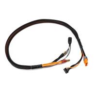 SPEKTRUM PRO SERIES RACE 4S 2FT CHARGE CABLE, IC3/5MM