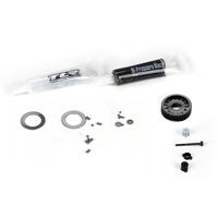 TLR DIFF SERVICE KIT, TUNGSTEN BALLS, 22X