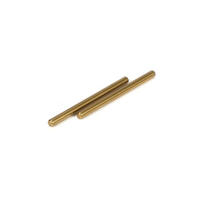 Losi 22 Rear Inner Hingepin - 2 - Tlr2055
