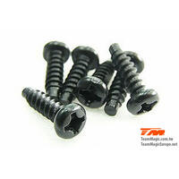 3X10MM STEEL RH TP SCREW (CROSS) (6)