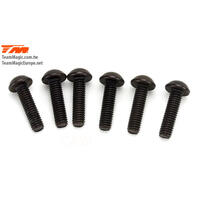 3.5X13MM STEEL BUTTON HEAD SCREW (6)