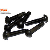 3.5X16MM STEEL BH SCREW (6)