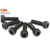 2.5X8MM STEEL CAP SCREW (6)