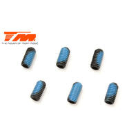 3X6MM SET SCREW (6)