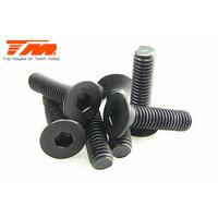 3X12MM STEEL F.H. SCREW (6)