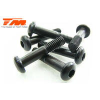 3X14MM BUTTON HEAD SCREW (6)