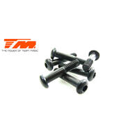 M3X16MM BH SCREW(10)