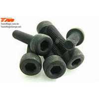 3X18MM CAP SCREW (6)