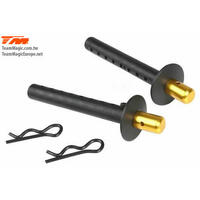 E6 ALLOY BODY POSTS 2PCE (GOLD)