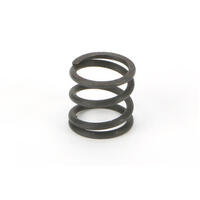 E5 SERVO SAVER SPRING