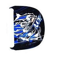 BONNET PANEL PAINTED