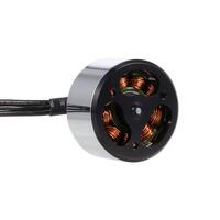 Brushless Motor