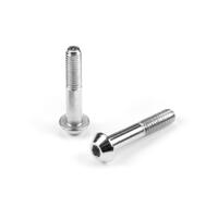 Xray Steel Brake Pad Guide Pin Screw M3X16 (2) - Xy354180